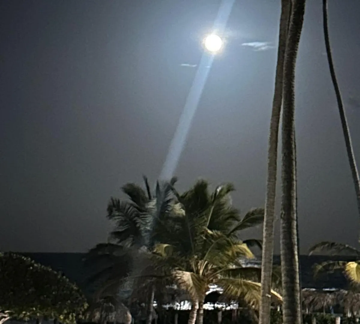 Stanza Mare B-201, Beach Front Bavaro,,Best View, Fully Equipped, Private Beach, 3-R 3-B, Bavaro, 푼타 카나